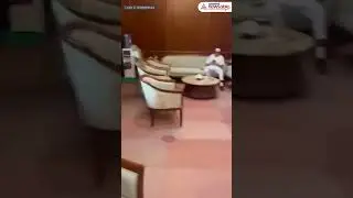 Viral Video | Monkey Seen Sitting On Chair In Parliament Lobby | Asianet Newsable