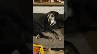 Dona und ich haben wieder ein Paket bekommen 16.1.26