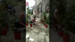 MAG PINTURA NG MGA PASO SA HALAMAN