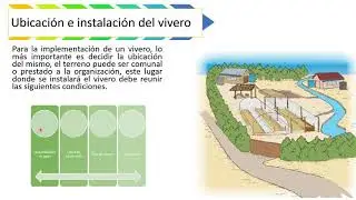 MANEJO DE VIVEROS FORESTALES
