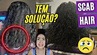 CABELO COM POROSIDADE ALTA!! MUITO RESSECADO E COM FRIZZ! Saiba como salvar seu cabelo.
