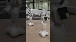 Pepper Robot 🤖