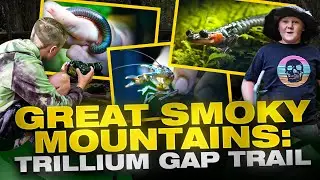 Salamander Quest & Surprise Wildlife Encounters