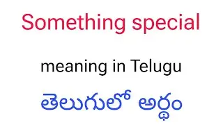 Something Special meaning in Telugu || Something Special తెలుగులో అర్థం || Something Special