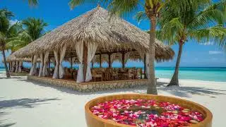 Touch of Light Mix Vol  23 | 1+ Hour of Music for Deep Relaxation & Focus