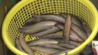 VỢ CHỒNG TÚ QUAY TRỞ LẠI TÂN CÔNG SÍNH