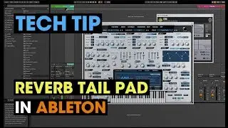 Tech Tip - Reverb Tail Pad in Ableton