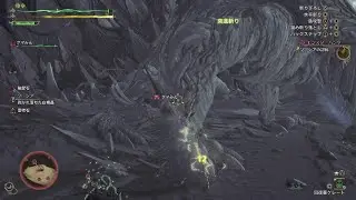 【Monster Hunter Wilds】ネタバレ注意【202503021400】