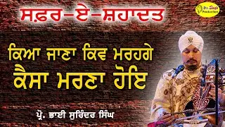 Kaisa Marna Hoye | Prof Surinder Singh | Raj Academy U K | Safar E Shahadat