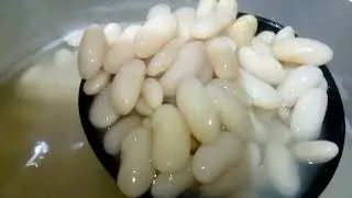 White Kidney beans soaked and cook.Ready to use for any kind of menu salad etc..