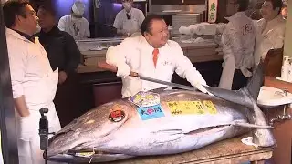 Bluefin tuna fetches record $3.2 million in Tokyo auction | REUTERS