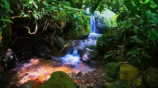 Calming River and Small Waterfall Sounds | Stress Relief and Sleep