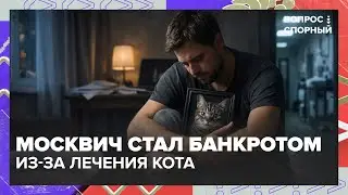 Москвич стал банкротом из-за лечения кота: где грань любви к питомцу и долгов?