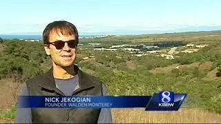 Monterey housing development planned in 'enchanted forest'
