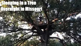 Sleeping in a tree on a farm travel Missouri