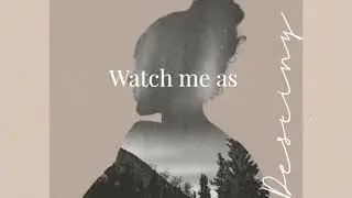 Twin Flame- Destiny (Lyric Video)