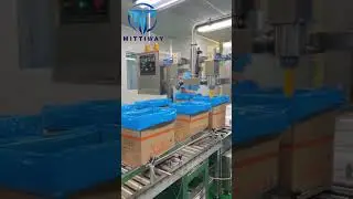 Margarine end packaging line 3 and 4 tons per hour shortening butter filling and bag in box packing