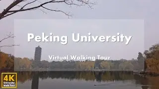 Peking University [Part 1] - Virtual Walking Tour [4k 60fps]