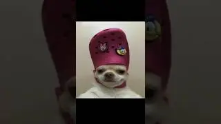 Try Not to change your Wallpaper Challenge