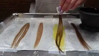 Testing out 12 Moroccan Oil Liquid Toners!| Level on Level Toning