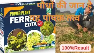 Micronutrient for plants //plant food // फसलों के अधिक विकास व पैदावार के लिए Irion fartilzer