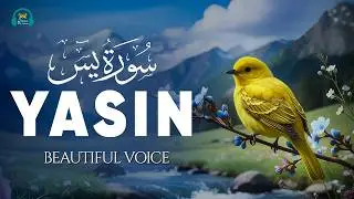 Surah Yaseen (سورة يس) | Relaxing Quran to Comfort the Mind & Heart #lofiquran