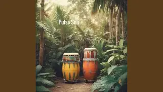 Sun Pulse