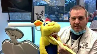 Children's Dental Health Month