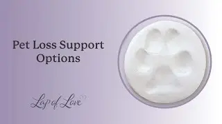 Pet Loss Support Options - Lap of Love