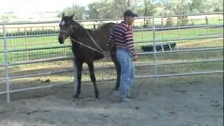 Full Tilt Look
