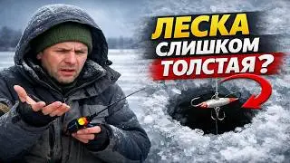 Январь. Не клюёт. Винишь погоду? А проблема — в твоих руках.