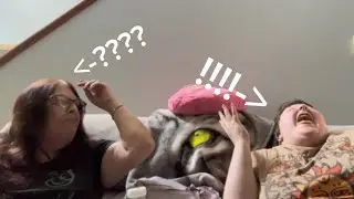 Wolfie can&rsquo;t handle &lsquo;sour&rsquo; lemon head candy// Zaria LAUGHS! // FUNNY!//