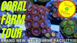 Tour of new coral farm in Melbourne!