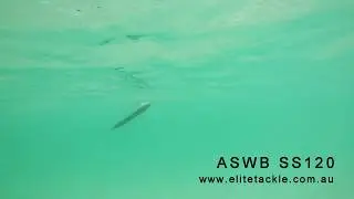ASWB SS120 Stickbait sinking test with Elite Tackle