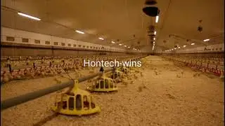 FLICKER-FREE dimming of lights in a poultry house.