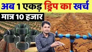 ड्रिप इरिगेशन कैसे लगाएं | drip irrigation kaise lagate hai hindi | kam kharch me drip kaise lagaye