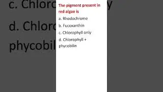 #csirnet #gatebt #neet #life sciences #molecular   #biology #shorts #ytshorts  #biomcqs #neetmcq