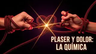 C&oacute;mo el dolor puede convertirse en placer la psicolog&iacute;a del sadomasoquismo