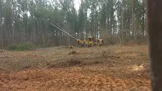 720 E tigercat clear cutting a new landing