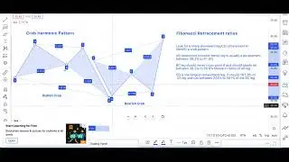 Crab Harmonic Pattern Rules | Harmonic Pattern Trading Strategy - Introduction to Harmonic Patterns