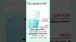 Hair Porosity Explained: Formulate the Right Products for YOUR Hair Type!