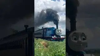 Steam Train! - Thomas the Tank Engine