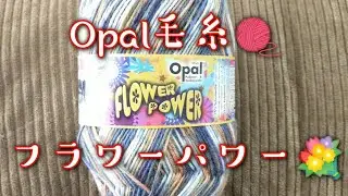 【毛糸レビュー🧶】Opal毛糸フラワーパワー💐で編むベーシックな靴下24cm