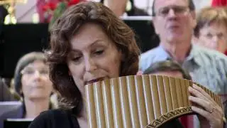 04 Syrinx - Liselotte Rokyta