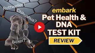 Embark Breed & Health Kit  - Dog DNA Testing Kit Review