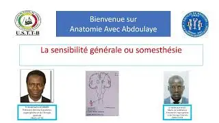 la sensibilité générale ou somesthésie