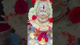 varalaxmi vathamu