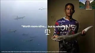 Financing the Transition of Small-Scale Fisheries (CFA Incubator Showcase #2)