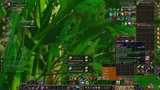 Project Ascension Realm First