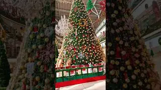 Christmas Tree In Z Square Mall Kanpur Muskan Shorts।। #muskanshorts #zsquaremall #kanpur #mall